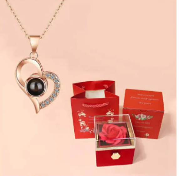 TitanSilver Necklace
